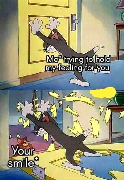 Memes & Satire image