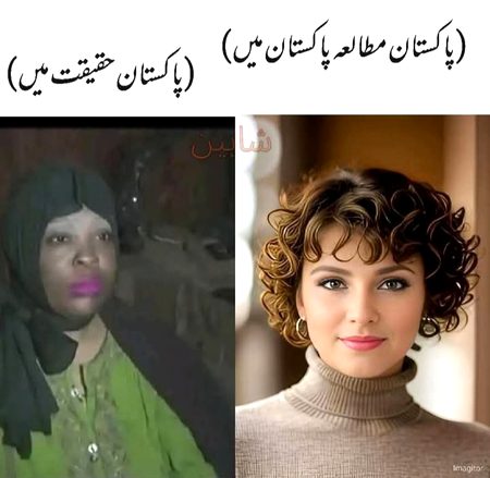 Memes & Satire image