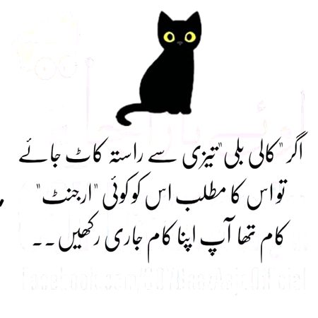 Memes & Satire image