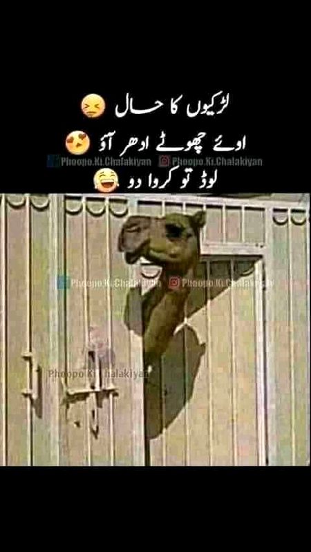 Jokes image