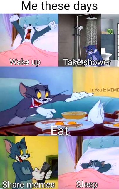 Memes & Satire image
