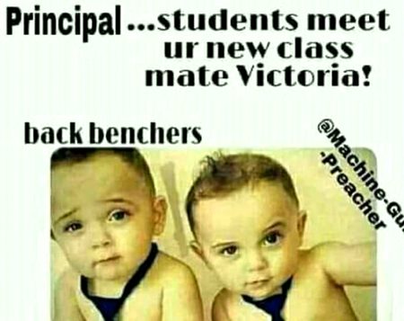 Memes & Satire image