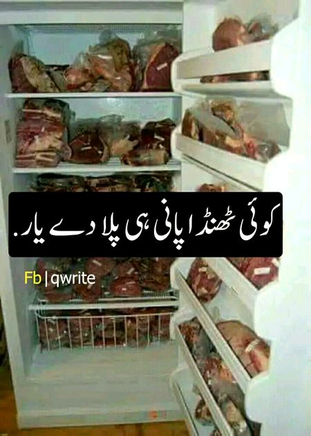 Memes & Satire image