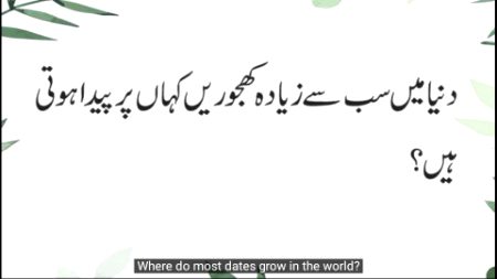 Knowledge Test image