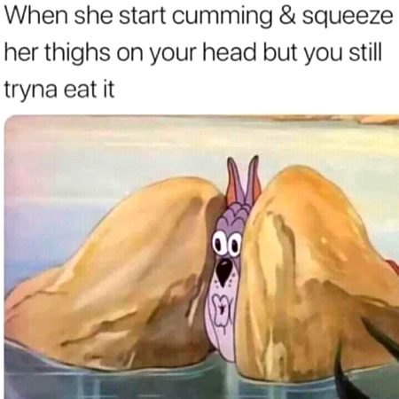 Memes & Satire image
