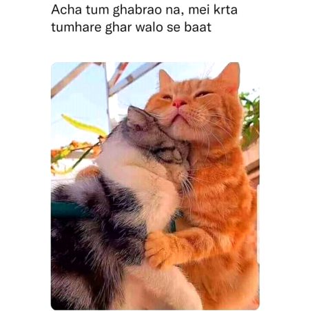 Memes & Satire image