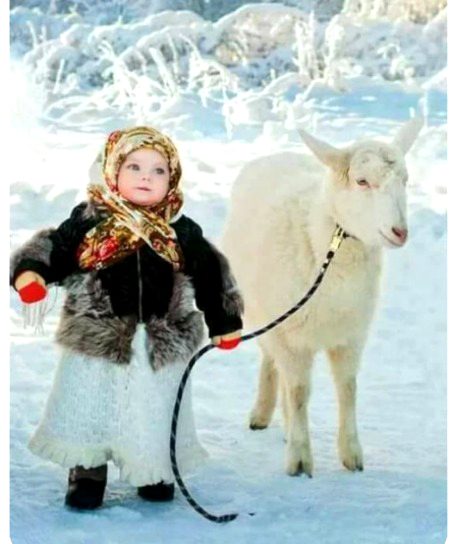 Beautiful Nature image