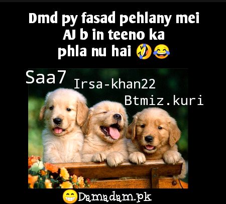 Damadam Roasting image