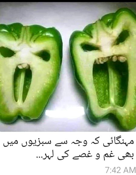 Memes & Satire image