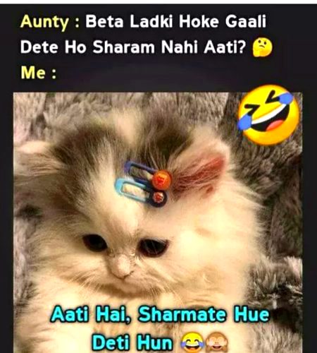 Memes & Satire image