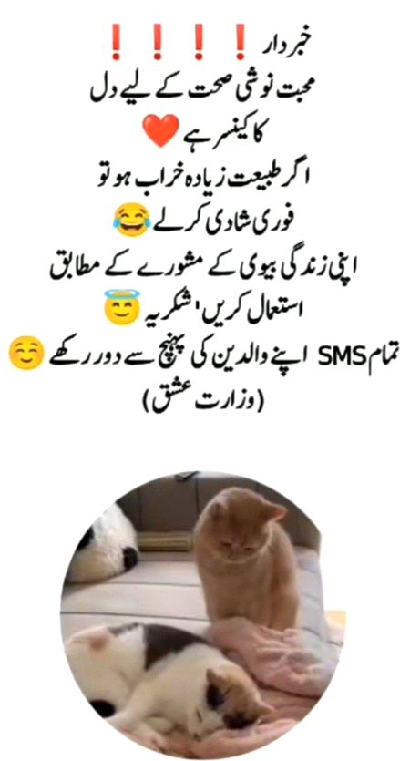 Memes & Satire image