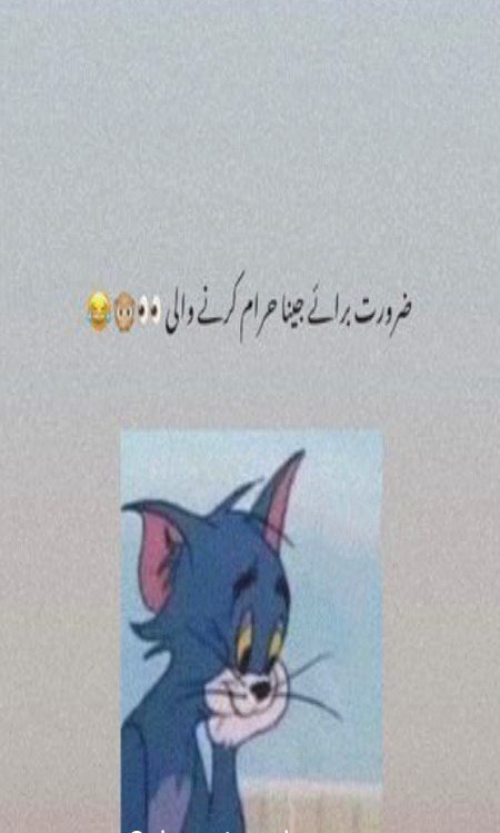 Memes & Satire image