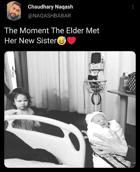 Memes & Satire image