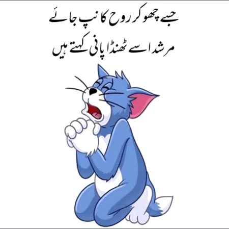 Memes & Satire image