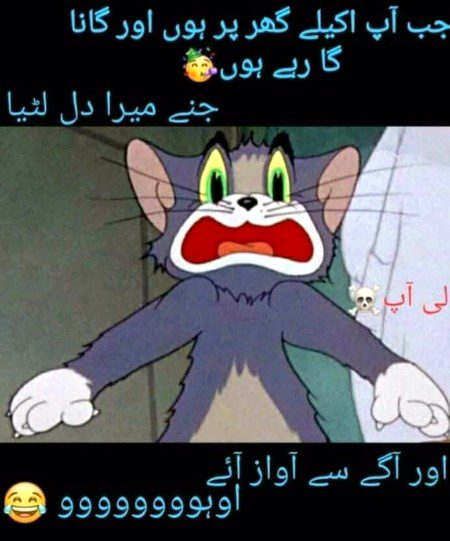 Memes & Satire image