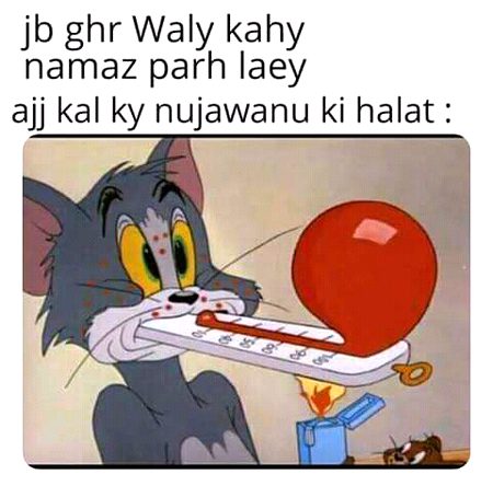 Memes & Satire image