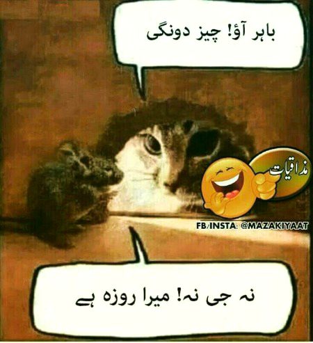 Funny joke