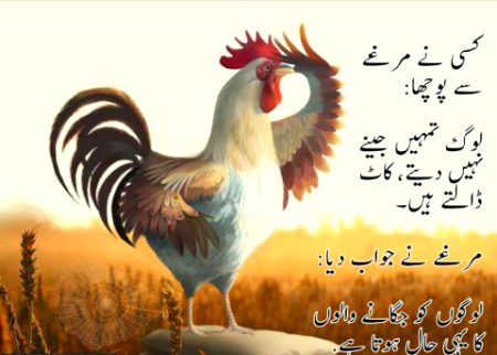 Jokes image