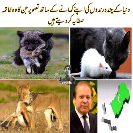 Memes & Satire image