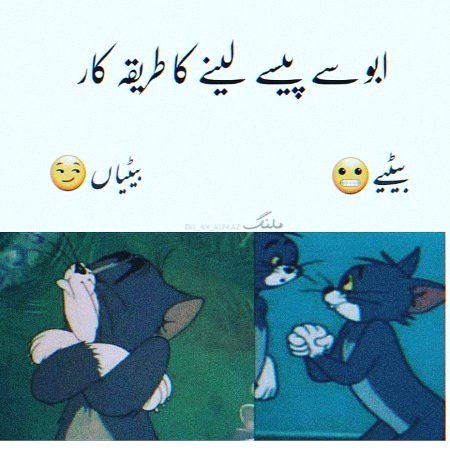 Memes & Satire image