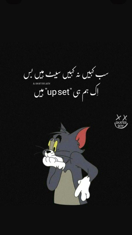 Memes & Satire image