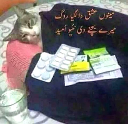 Funny joke