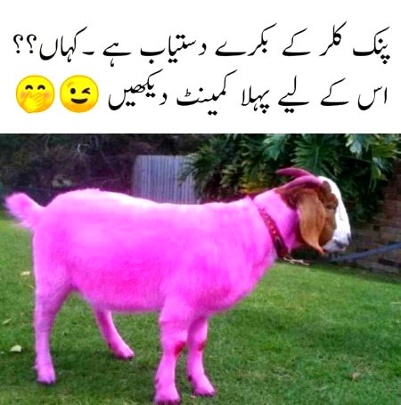 Funny joke