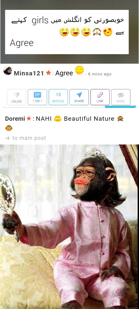 Damadam Roasting image