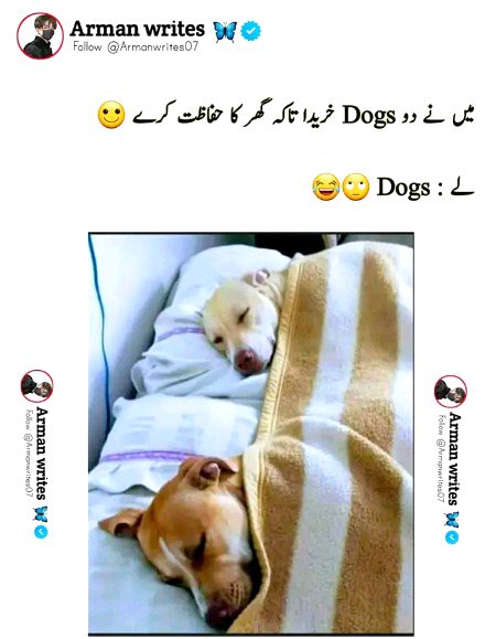 Memes & Satire image