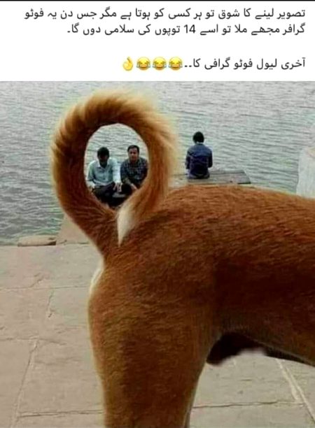 Memes & Satire image