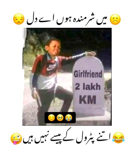 Memes & Satire image