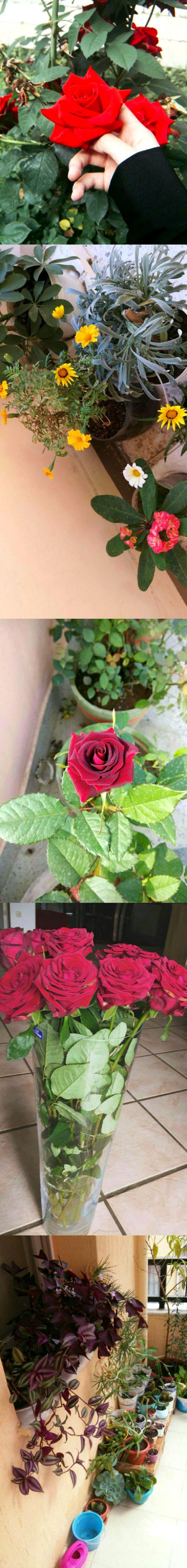 Beautiful Nature image