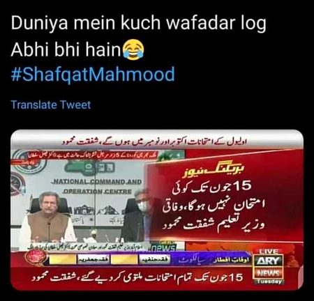 Memes & Satire image