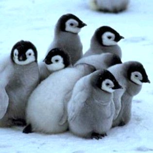 Beautiful Nature image