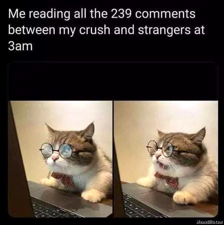 Memes & Satire image