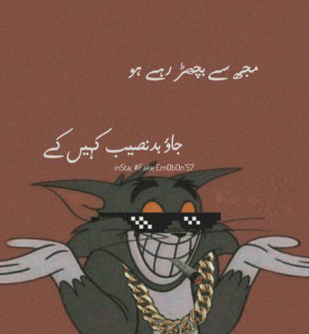 Attitude Quotes image