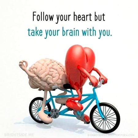 Life Advice image