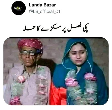 Memes & Satire image