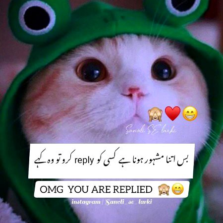 Memes & Satire image