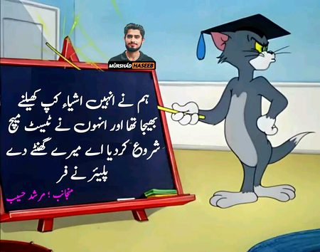 Memes & Satire image