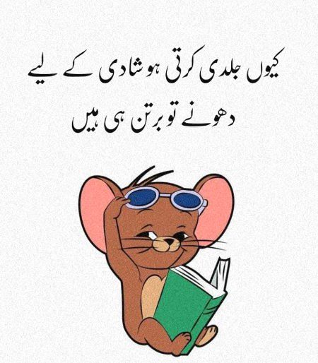 Memes & Satire image