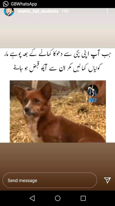 Memes & Satire image