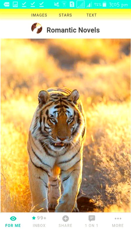 Damadam Roasting image