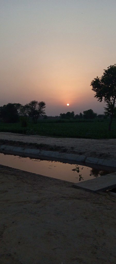 Beautiful Nature image