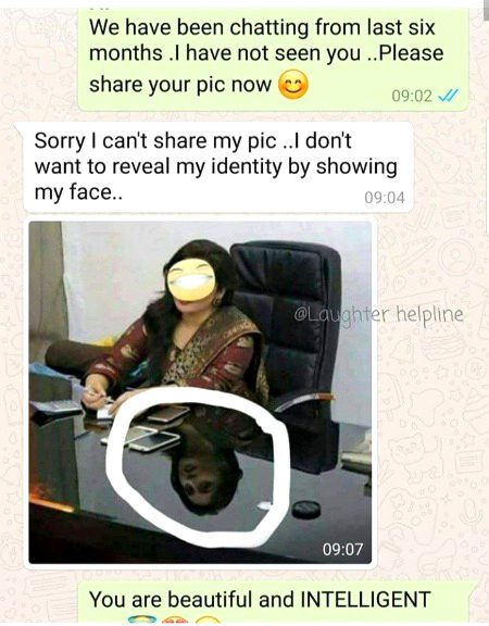 Memes & Satire image