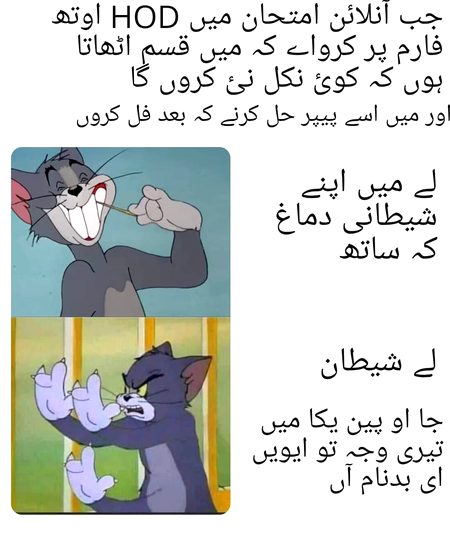 Memes & Satire image