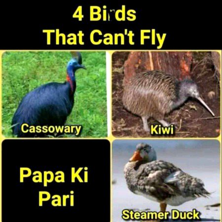 Memes & Satire image
