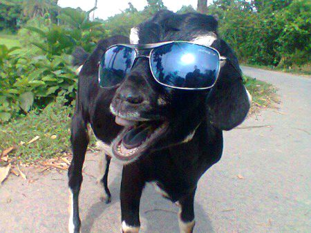 Beautiful Nature image