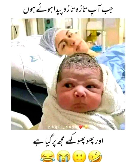 Memes & Satire image