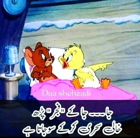 Memes & Satire image